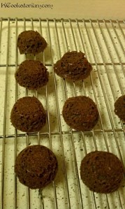 minibrownies2